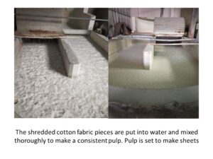 Cotton paper pulp